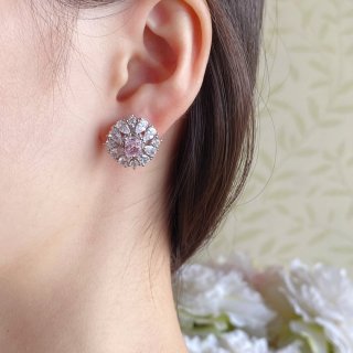 Earrings&Ear studs