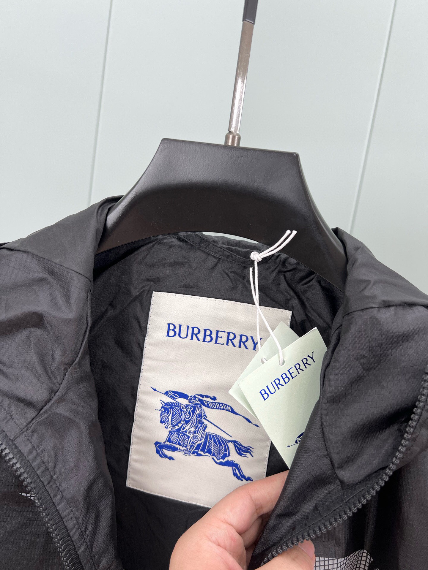 Hoodies & Sweatshirts