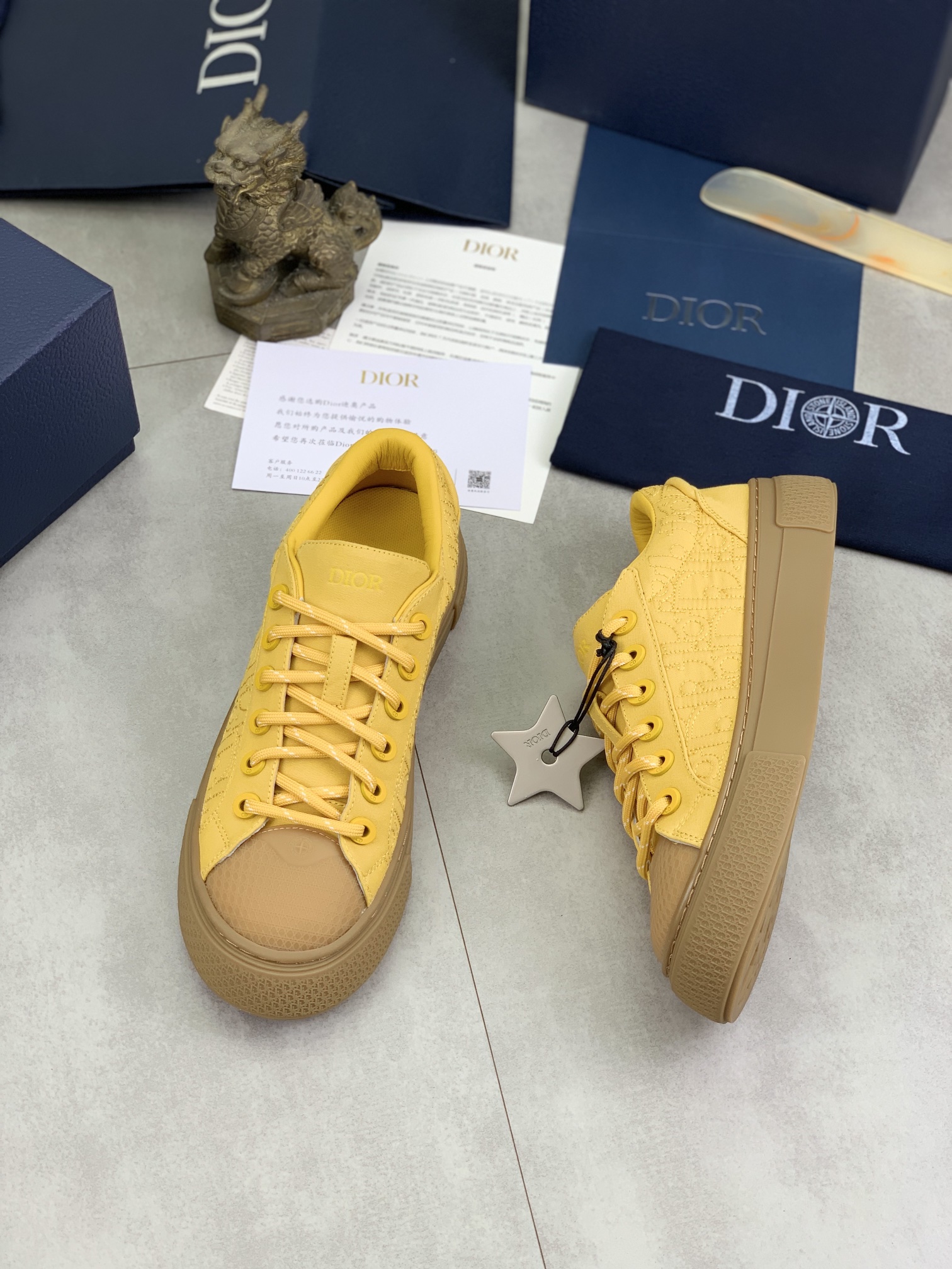 DiorSHOES